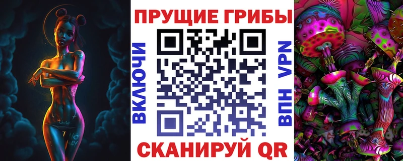 купить  сайты  Вельск  Псилоцибиновые грибы Magic Shrooms 